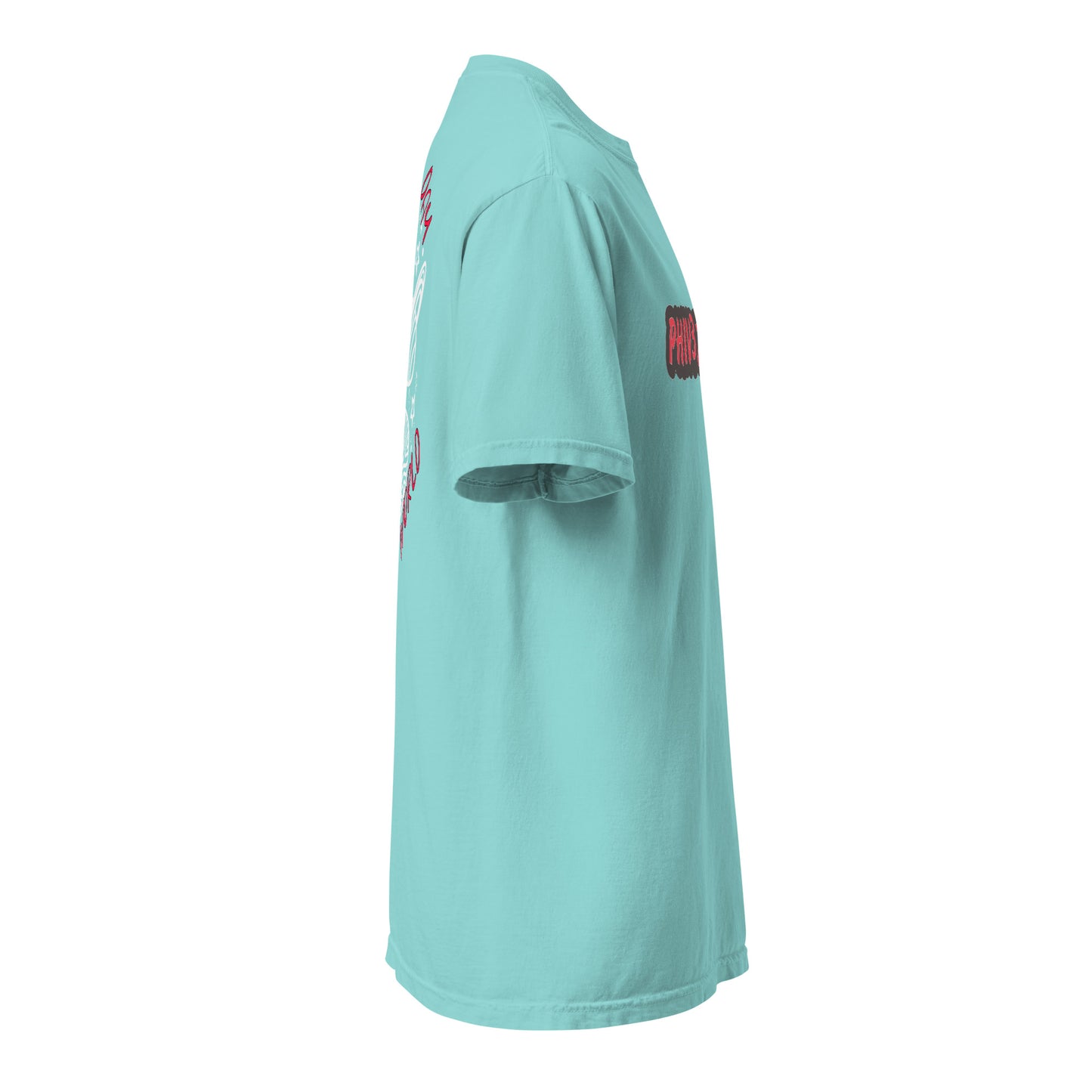Unisex OG Phib3zWRLD garment-dyed heavyweight t-shirt